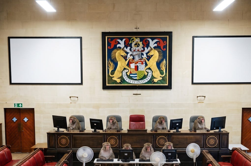 Bristol City Council’s “Independent” SDG Review: What An Infinite Number Of Monkeys Couldn’t Have Done&nbsp;Worse.